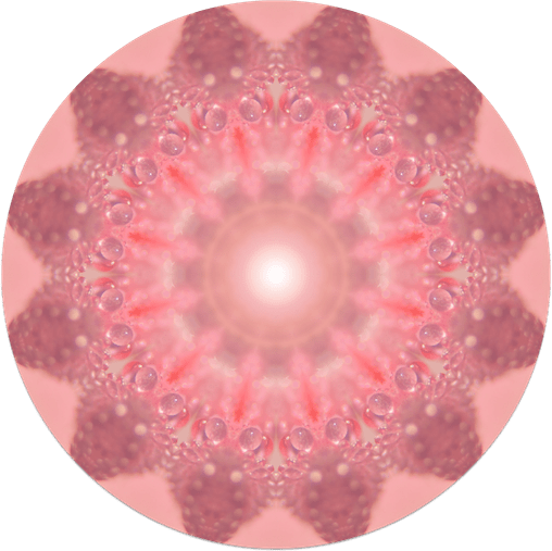 12-vertus-unitives-cercle-508